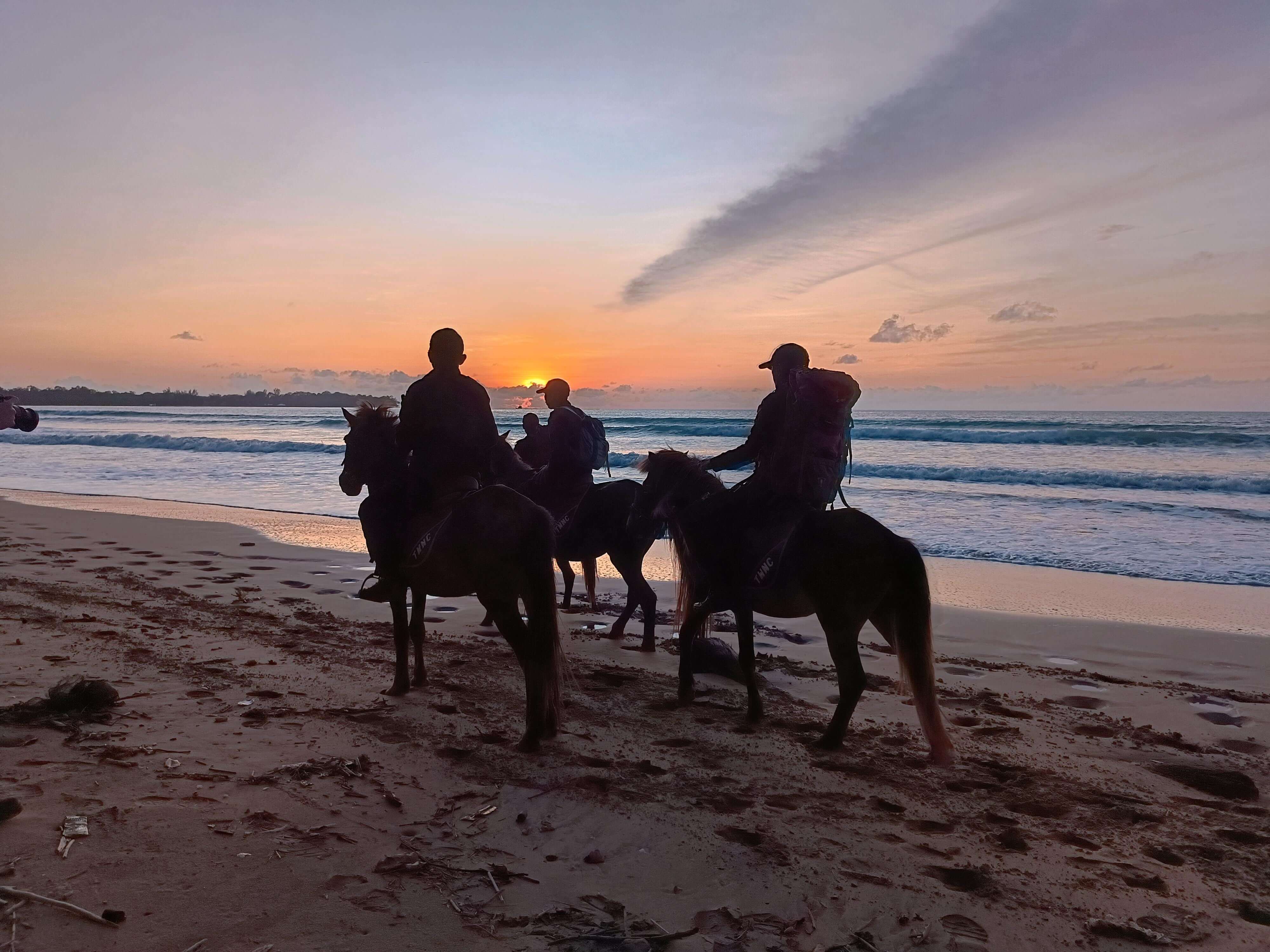 berkuda lampung berkuda lampung