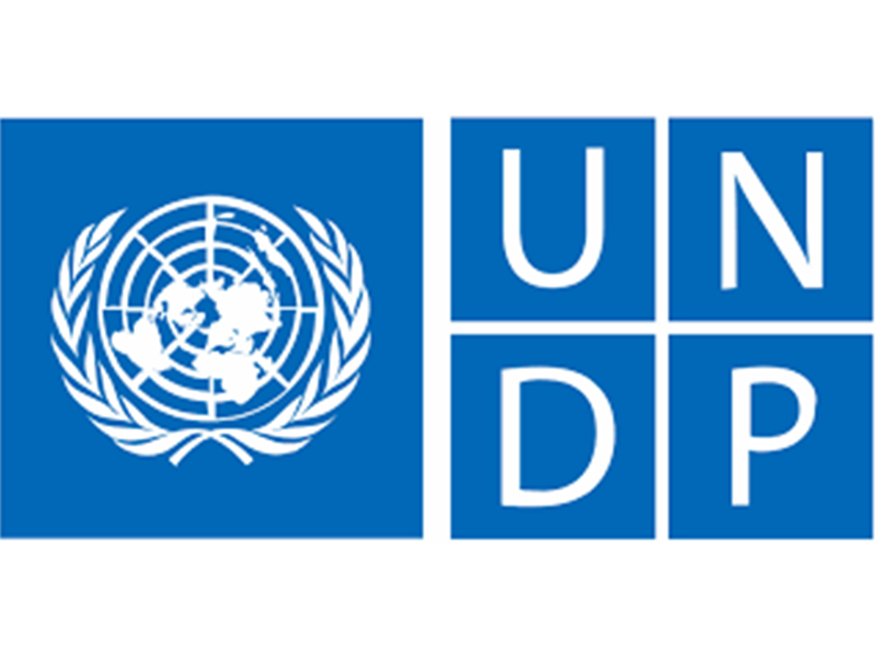 undp